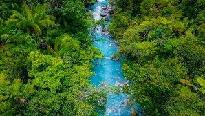 A river flowing through a dense, green forest. - Cabinas El Pilon Rio Celeste (Katira)