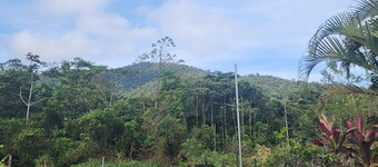 Cabinas El Pilon Rio Celeste