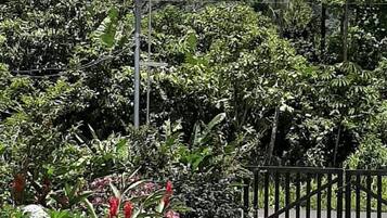 A garden with a gravel path, a wooden fence, and lush greenery.