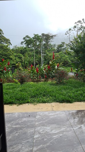 Front of property - Cabinas El Pilon Rio Celeste (Katira)