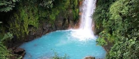 A natural waterfall surrounded by lush greenery.