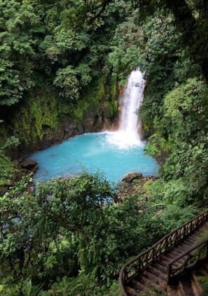 Hiking - Cabinas El Pilon Rio Celeste (Katira)
