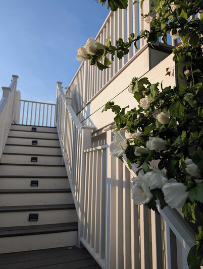 Waverly Suite 3 on the Beach