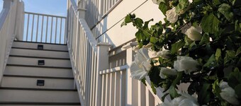 Waverly Suite 3 on the Beach