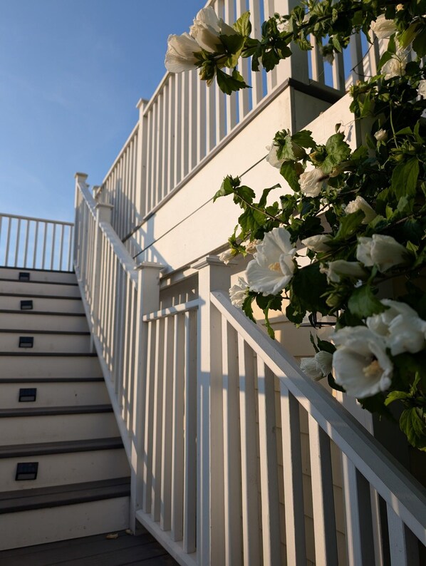 A staircase with white railings and a building facade with white flowers.