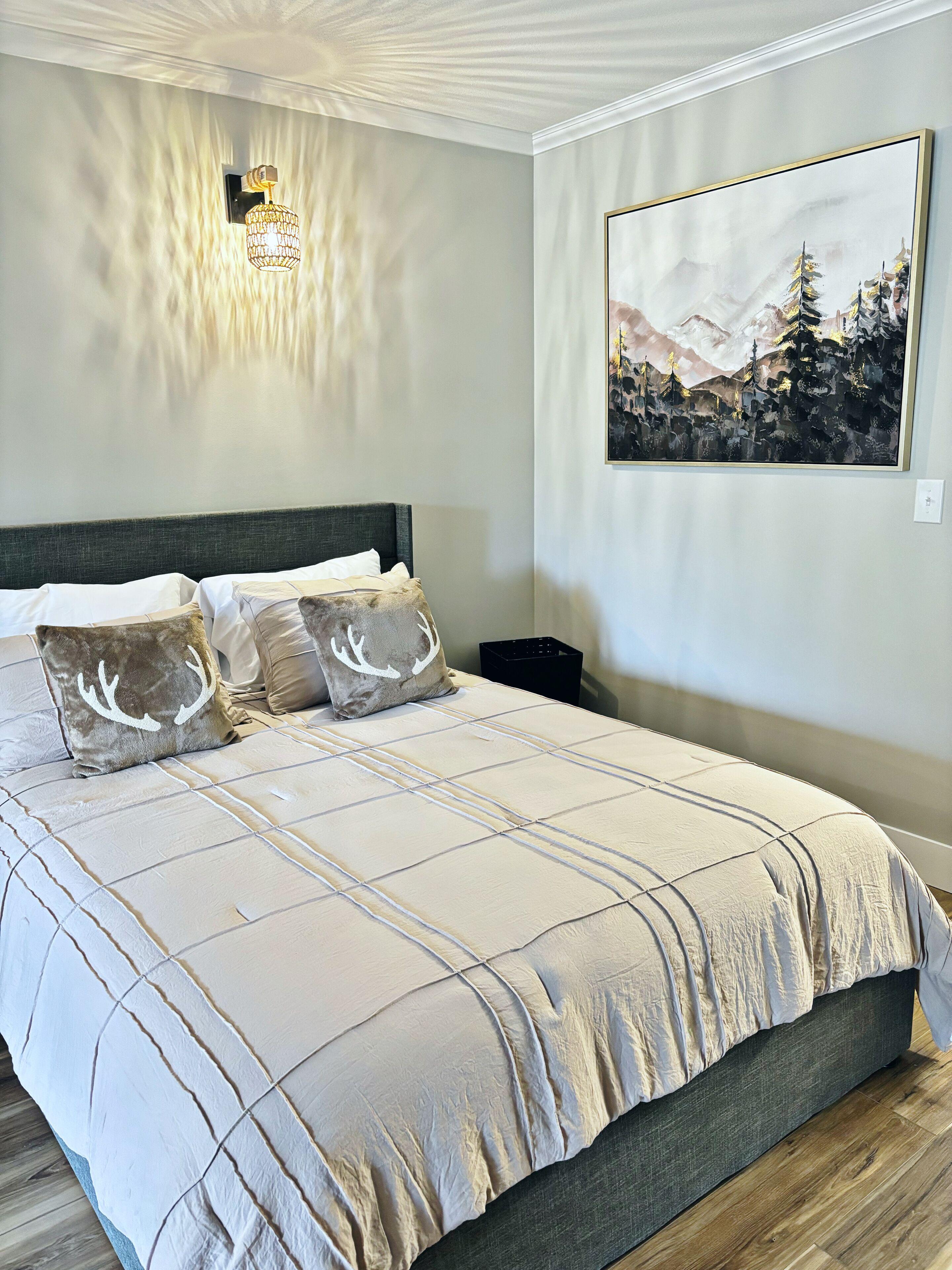 Iron/ironing board, free WiFi, bed sheets