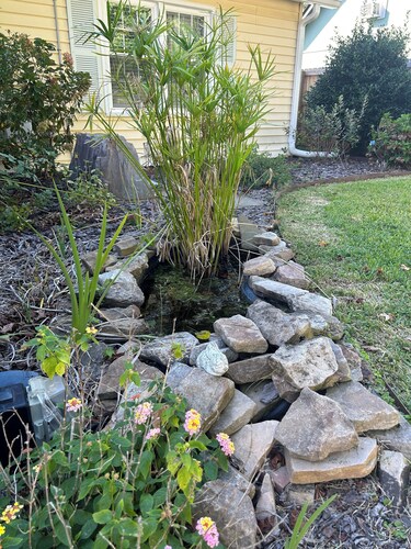 Charming 2-bedroom house with WiFi, AC in nice Charleston