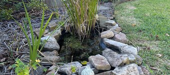 Charming 2-bedroom house with WiFi, AC in nice Charleston