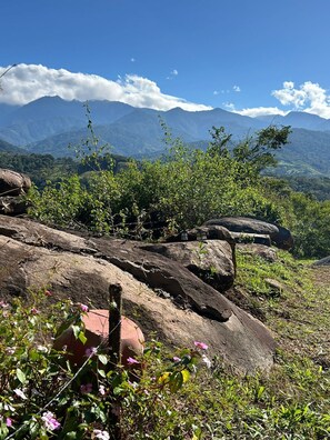 Property grounds - Beautiful home in the Heights: Panoramic Views and Tranquility in Rivas (Pérez Zeledón)