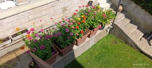 Property grounds - LANDLORD ALBACHIARA  (Ramazzano - Le Pulci)