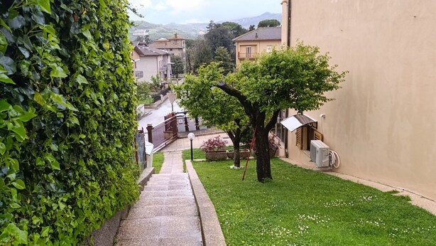 A narrow pathway leading to a building with a tree in the center, surrounded by greenery. - LANDLORD ALBACHIARA  (Ramazzano - Le Pulci)