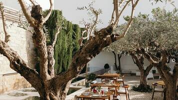 An outdoor dining area with olive trees, stone flooring, and tables set for dining.