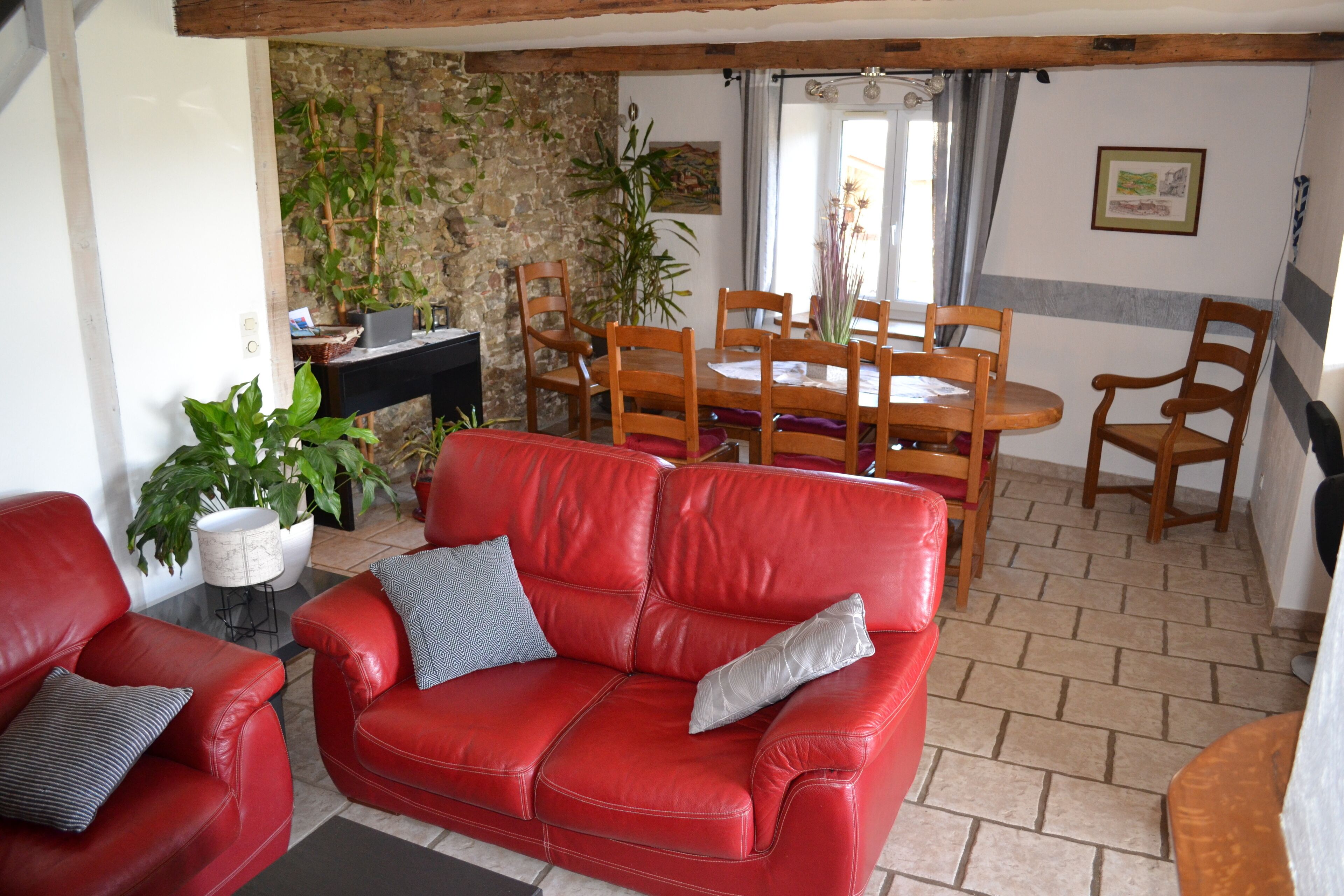 A red leather sofa with cushions, a dining table with wooden chairs, a potted plant, and a stone wall.