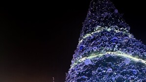Et stort, oplyst juletræ med sne-lignende dekorationer foran en bygning med balkoner og et skilt, der siger "Messika".