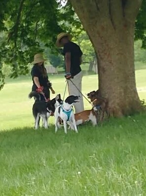 Pet-friendly - Petite Paradise: Tiny Home Vibes! Great Location! (Dayton)