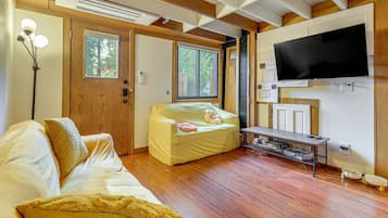 Smart TV y chimenea