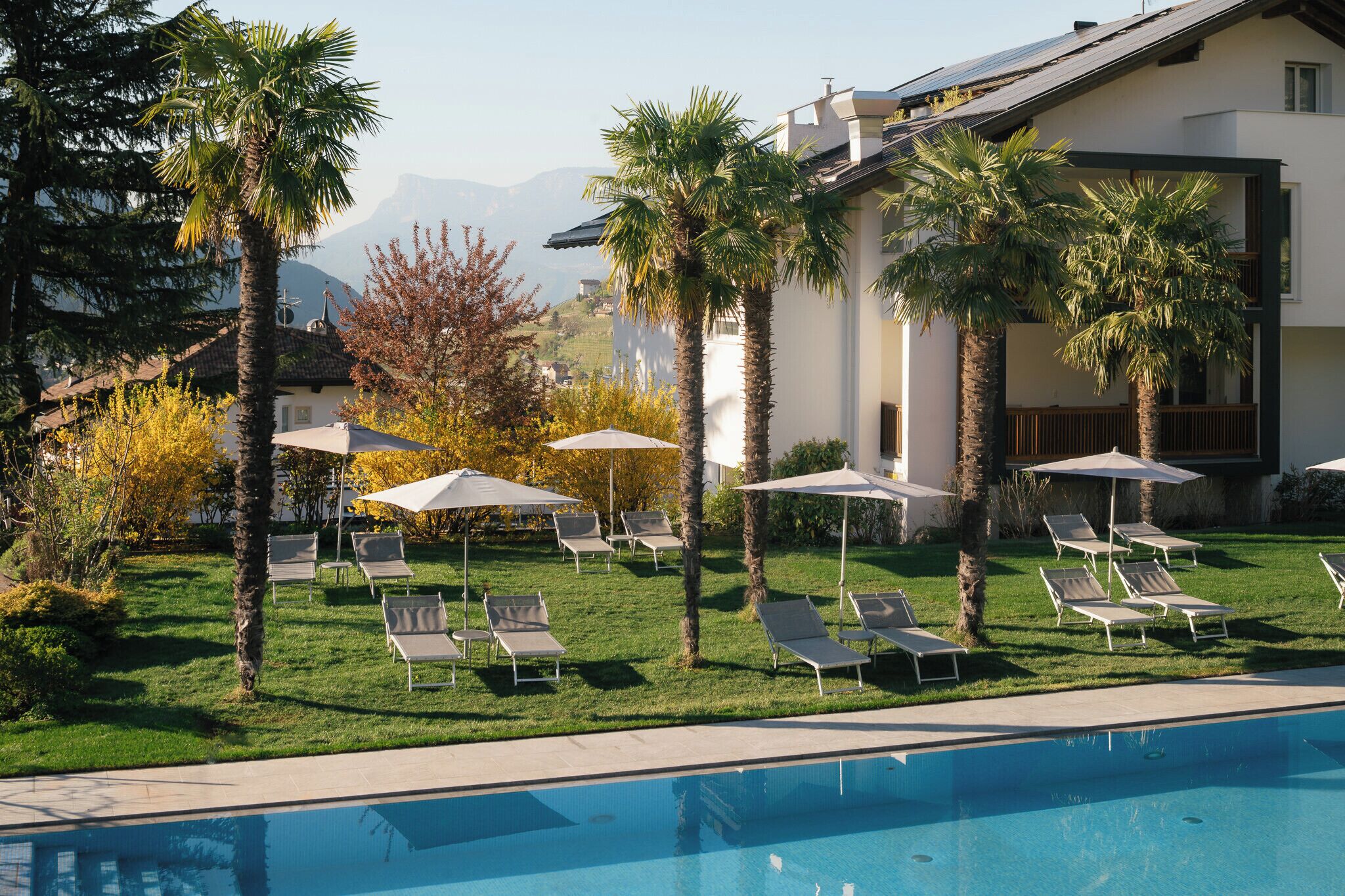 Zona de piscina con sillones de descanso y sombrillas, rodeada de palmeras y vistas a montañas.