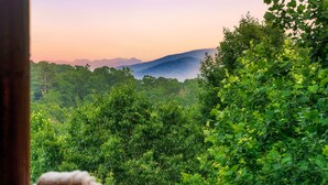 Une vue depuis un balcon donnant sur une forêt luxuriante, avec des montagnes qui se dessinent à l’horizon.