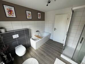 Douche, séchoir à cheveux, serviettes fournies, savon