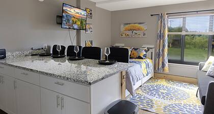 SC 2204 • Completely Renovated Studio, Bright Winter Escape!