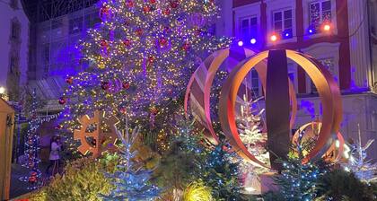 Beautiful, modern and bright apartment Place de la réunion in the heart of Mulhouse