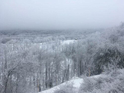 E205 Winterplace Condo Ski in Ski out 2nd Floor