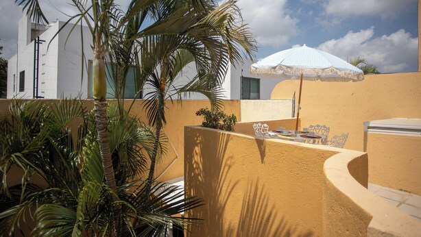 Eine Terrasse mit weißem Sonnenschirm, Palmen und einer gelben Wand.