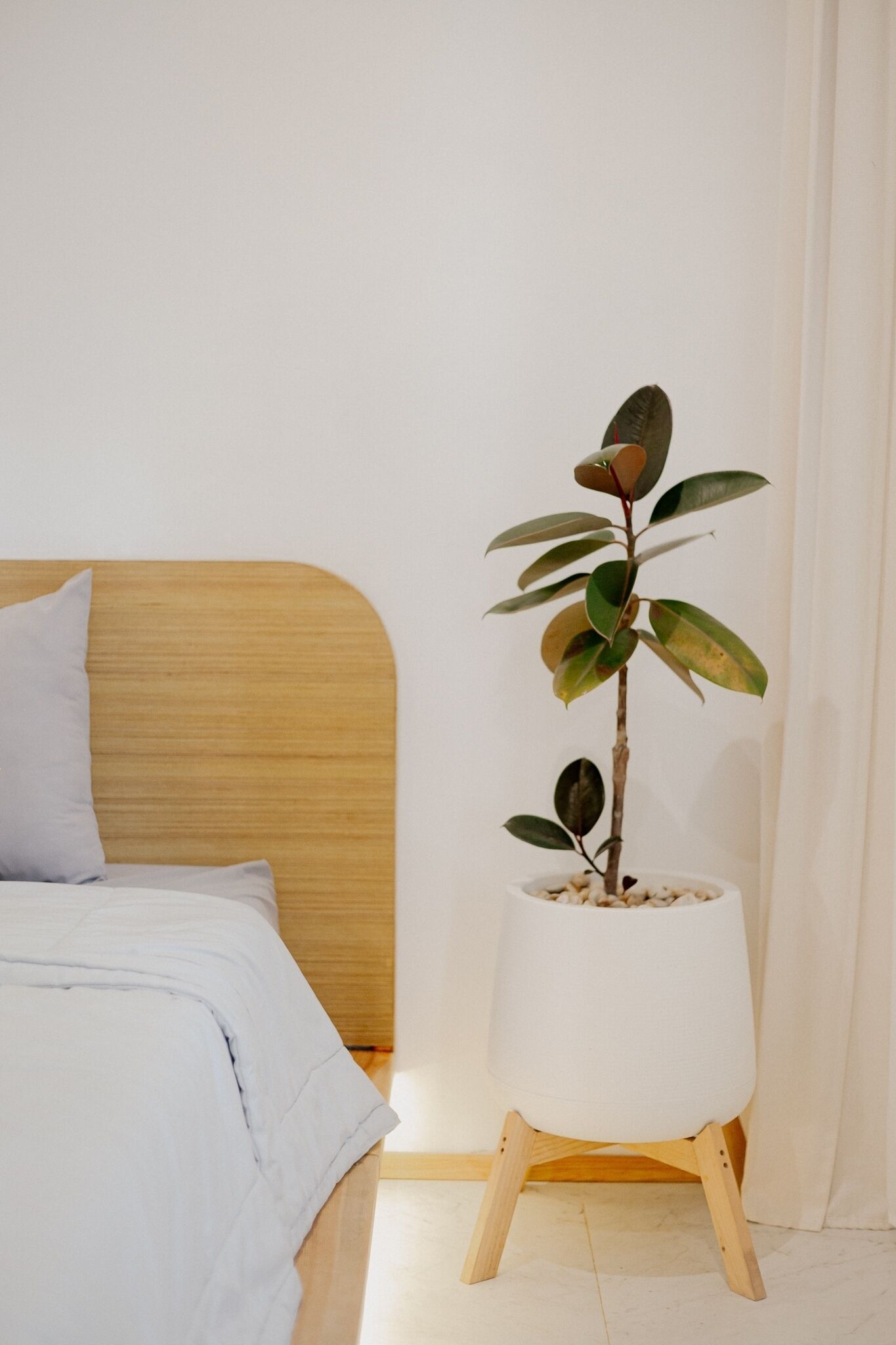 A bed with a wooden headboard, a white pillow, and a white blanket. There is a white pot with a plant on a wooden stand next to the bed.