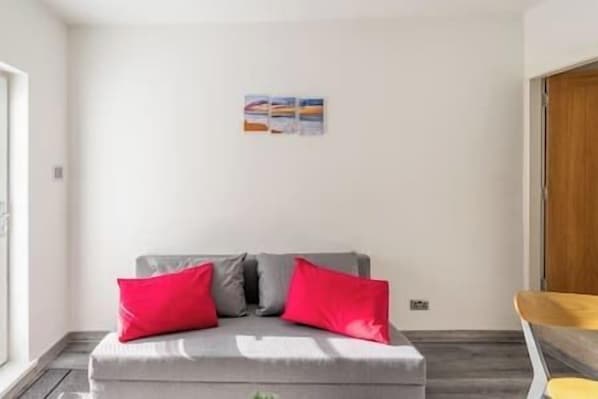A modern living room with a grey sofa, two red cushions, and a small wall-mounted artwork.
