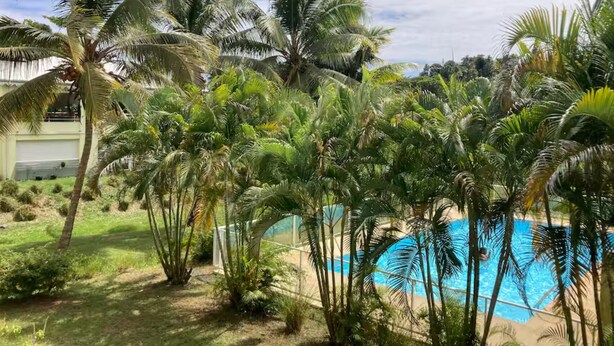 A pool surrounded by palm trees and a grassy area. - In the heart of Guadeloupe 🦋 roots and wings... (Petit-Bourg)