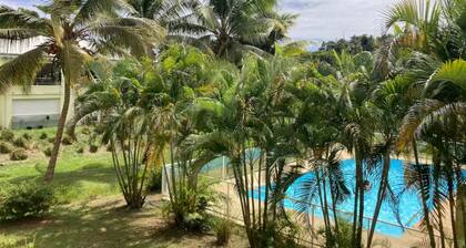 In the heart of Guadeloupe 曆 roots and wings...
