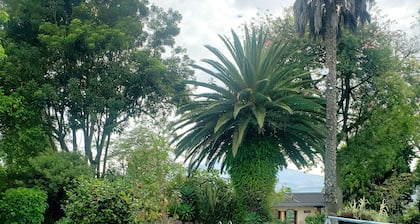 The Jasmine House. Country style and surrounded by nature.