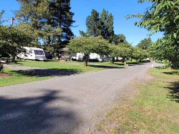 Property grounds - Spacious, serene space with outdoors (Waingawa)