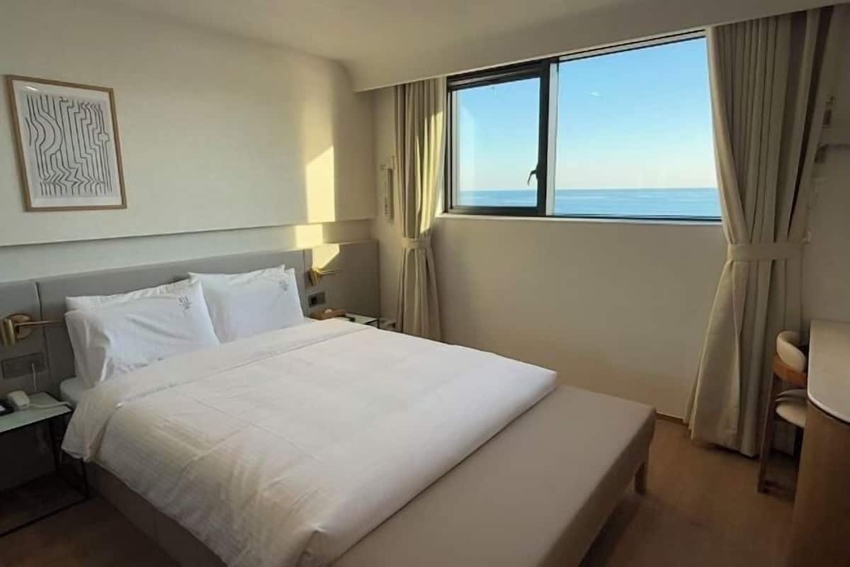 Cortinas blackout y wifi gratis