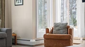 Smart TV, fireplace, stereo