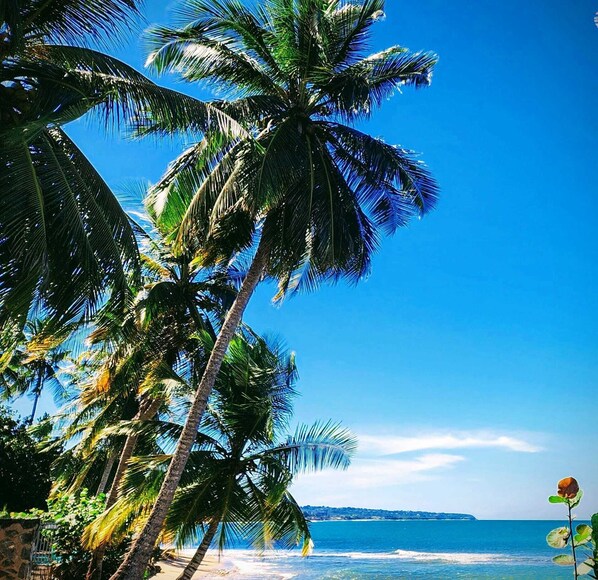 On the beach, sun loungers, beach towels