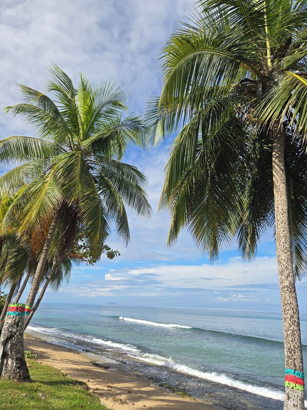 On the beach, sun-loungers, beach towels - Surfside Beach Condo in wonderful Aguada, PR (Aguada)