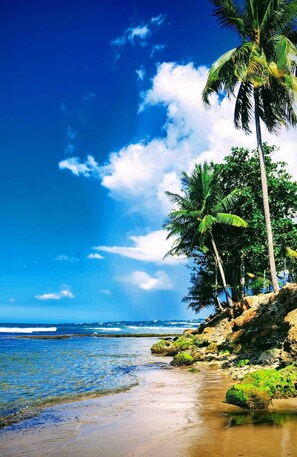 On the beach, sun loungers, beach towels - Surfside Beach Condo in wonderful Aguada, PR (Aguada)