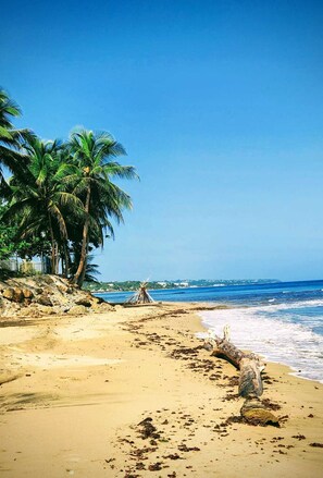 On the beach, sun loungers, beach towels
