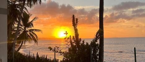 Àrea exterior de l'allotjament