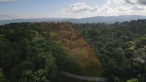 A forested landscape with a clear sky and distant mountains. - Cozy 2-bedroom townhome in charming Provincia de Puntarenas with AC, WiFi (Provincia de Puntarenas)