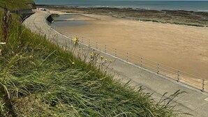 A coastal beach with a curved walkway, a grassy area, and a structure on a hill.