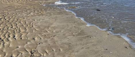 بالقرب من الشاطئ