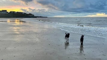 Beach nearby