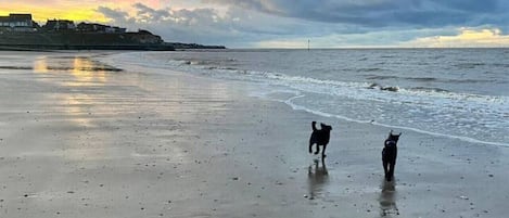 Plage à proximité