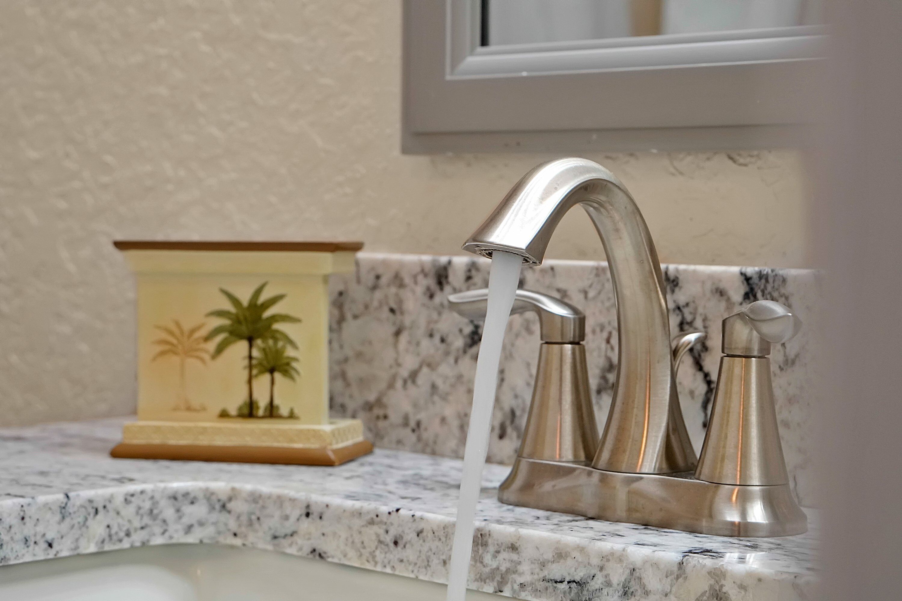 Un baño con encimera de granito, grifo plateado y un pequeño adorno con palmeras.