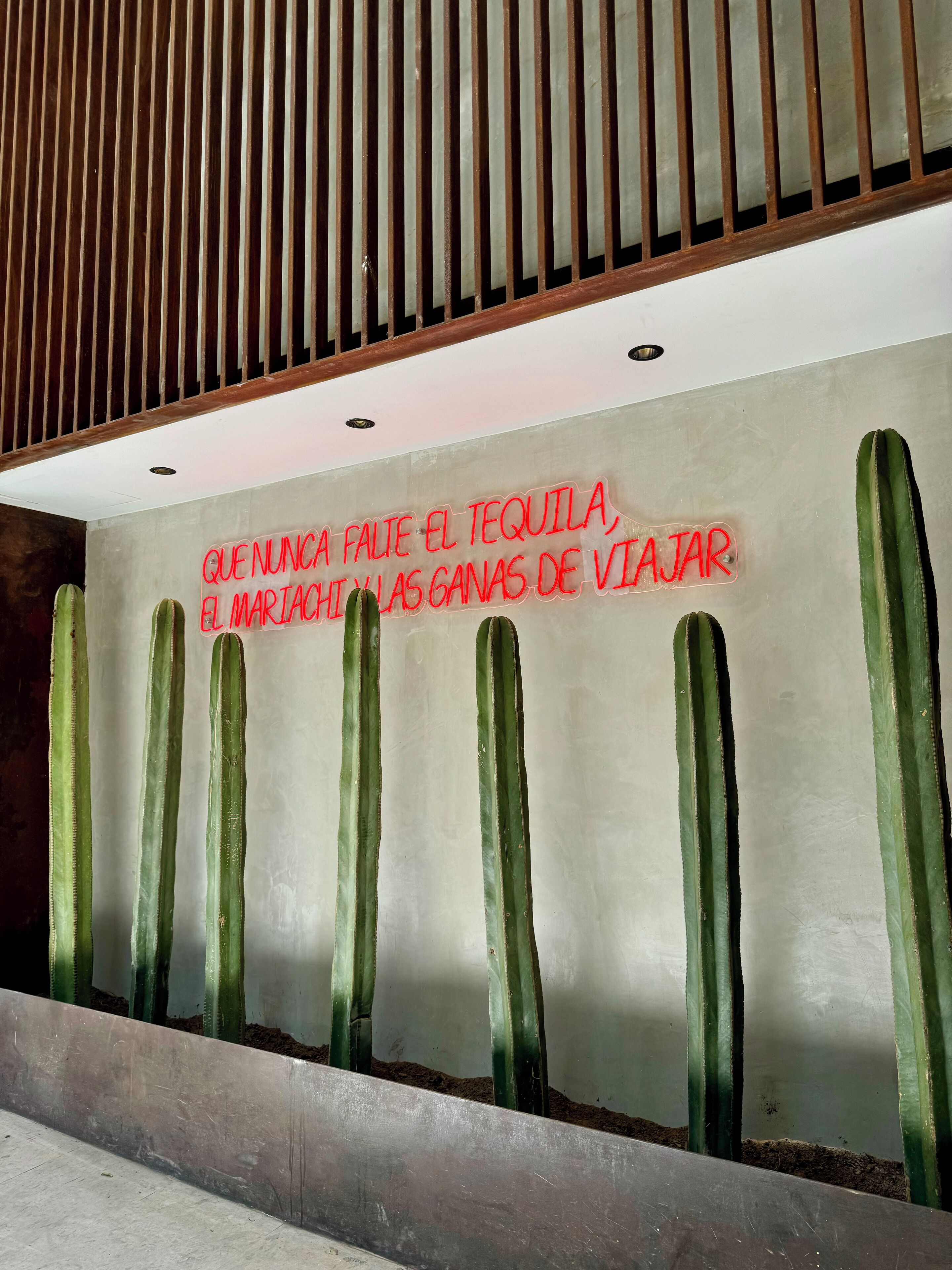 Photo - Hotel Aló Degollado