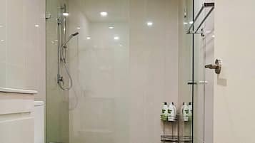 Shower, hair dryer, towels, toilet paper