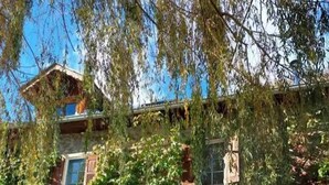 A stone building with wooden shutters and a small porch. - Large family home in the mountains with swimming pool  (Faucon-de-Barcelonnette)
