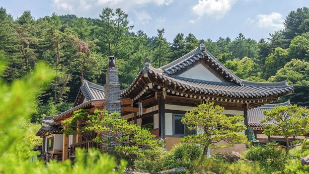 Un edificio japonés tradicional con varios tejados a dos aguas, rodeado de abundante vegetación y árboles.